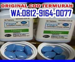 APOTIK VIAGRA PALEMBANG 081291640077 JUAL OBAT KUAT VIAGRA 100MG DI PALEMBANG - 2