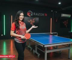 Tenis meja pingpong merk RAZER T9 - 2