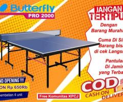 Tenis meja pingpong merk BUTTERFLY - 2