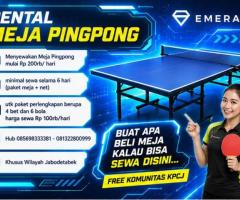 Rental sewa tenis meja pingpong - 2