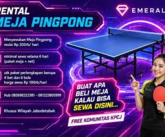 Rental sewa tenis meja pingpong - 3