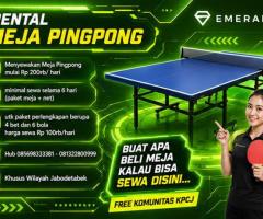 Rental sewa tenis meja pingpong - 4